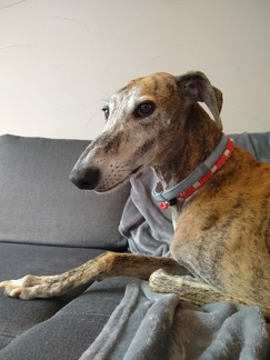 Trang chủ | S U P E R P I N O